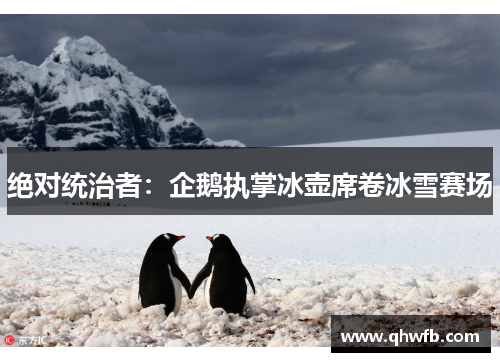 绝对统治者：企鹅执掌冰壶席卷冰雪赛场